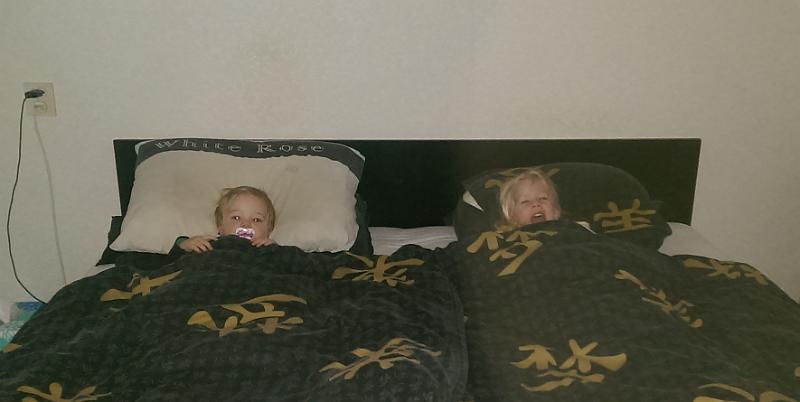 160320-1938-IMAG0095-deel.jpg