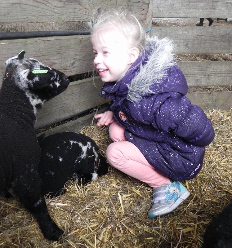 160331-1256-DSCN3832-deel.JPG - ASCII